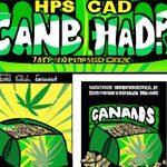 Create a package logo for cannabis seeds in comic style. (1).jpg
