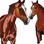 Generate an image of two horses. (1).jpg