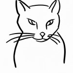 Draw a cat. (1).jpg