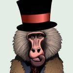 A baboon wearing a top hat. (1).jpg